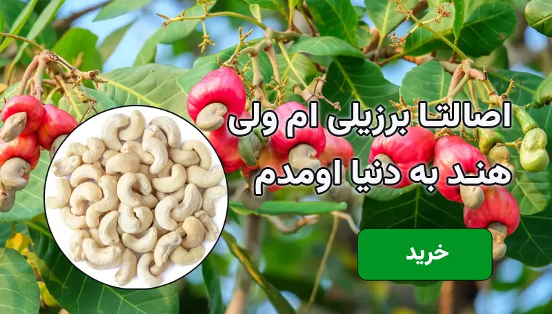 بنر 1