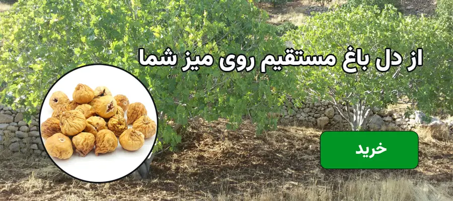 بنر 2