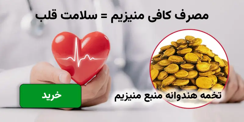 بنر 4
